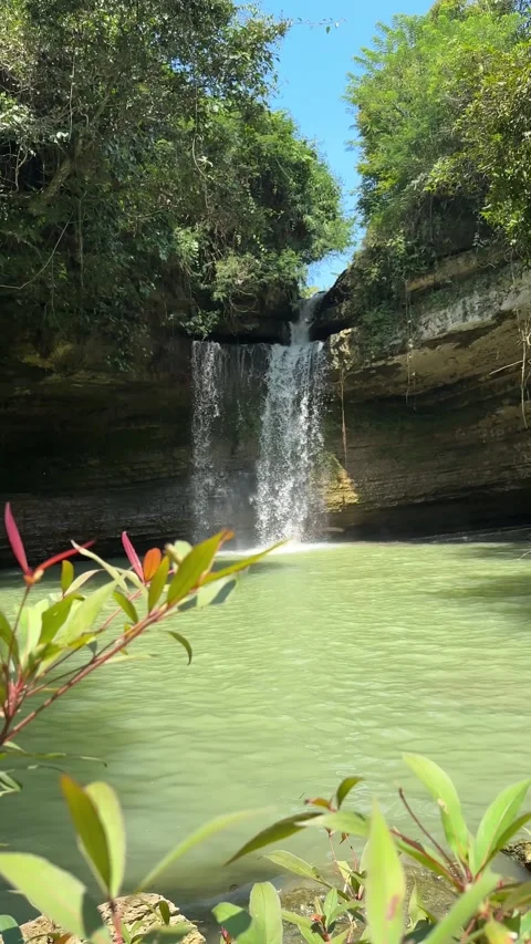 Vertical Tropical Waterfall Cascading into Emerald Pool, Lush Jungle Stock Footage 325646006