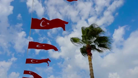 Vertical Turkish flags with palm tree in wind Stock Footage 346536672