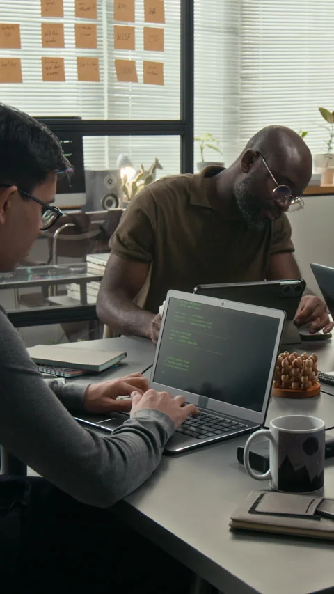 Vertical of Two Diverse Web Engineers Programming during Workday in Office Stock Footage 329619010