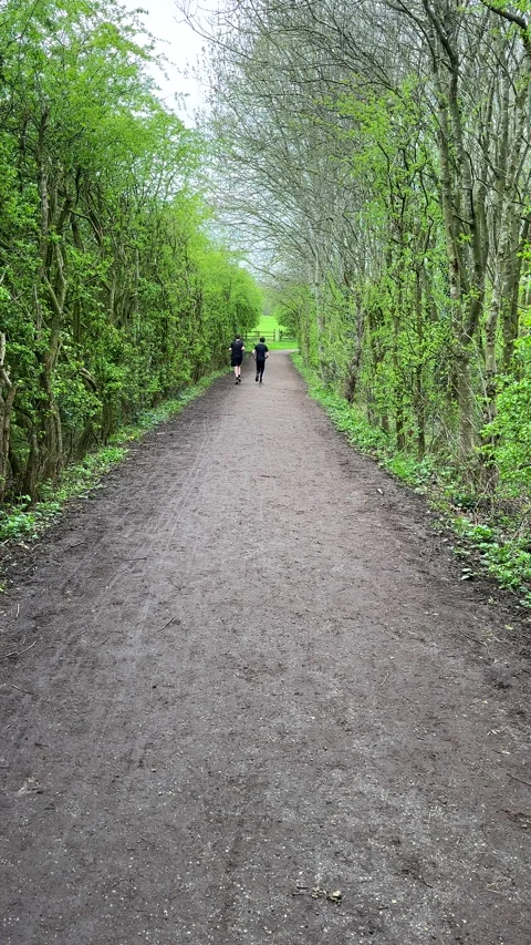 Vertical. Two young men jogging on footpath amongst spring greenery 動画素材 272447123