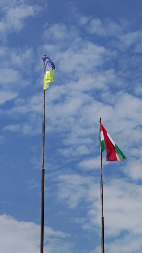 Vertical: Ukrainian and Hungarian Flags Waving on Poles Stock Footage 337649267