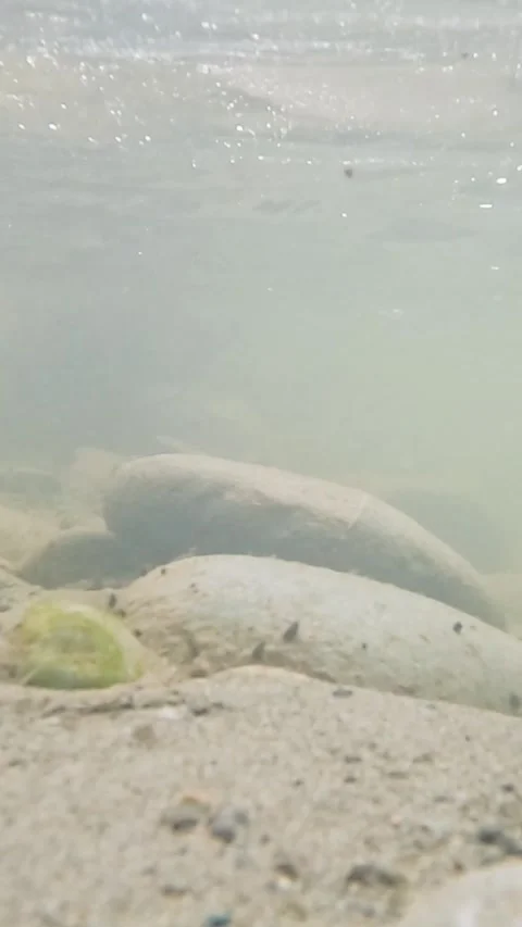 Vertical Underwater View of Smooth River Rocks and Sandy Bottom Stock Footage 331899040