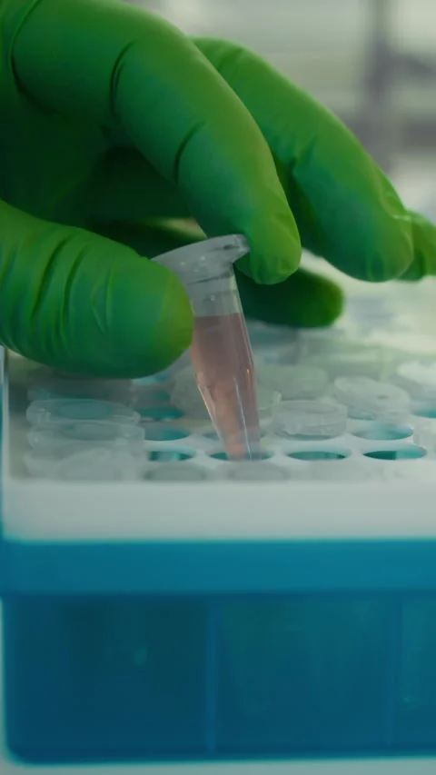 Vertical of Unrecognizable Laboratory Worker Putting Test Tube into Rack Section Stock Footage 323346597