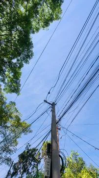 Vertical utility pole with overhead cables and trees Stock Photos