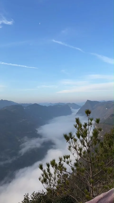 Vertical Valley Filled With River of Clouds and Pine Tree Vídeo Stock 334706376