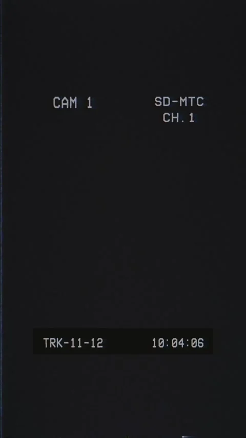 Vertical VHS overlay with analog glitches, timecode readout, and tight camera Stock Footage 341694192