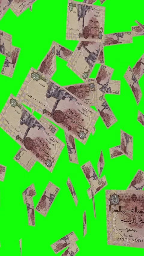 Vertical video of 1 EGYPTIAN POUND notes falling Green screen Stock Footage 302812666