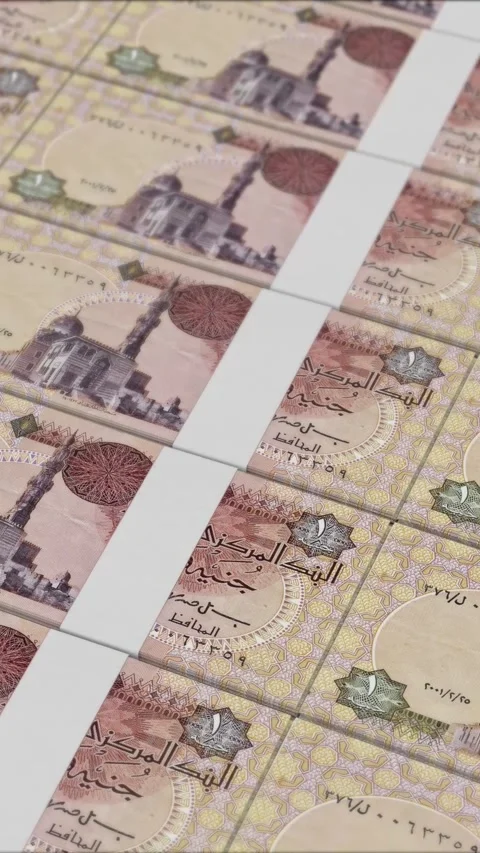 Vertical video of 1 EGYPTIAN POUND banknotes printed by a money press Stock Footage 303206922
