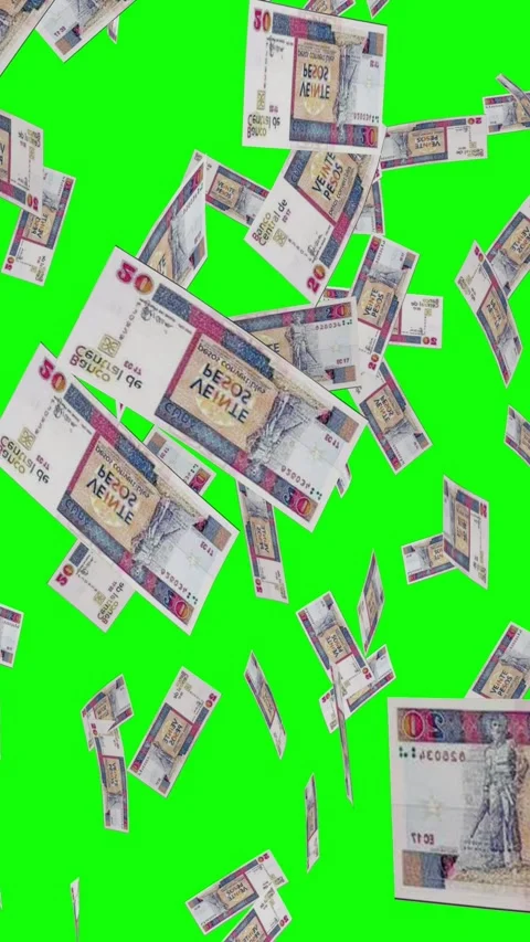 Vertical video of 20 CUBAN PESO notes falling Green screen Stock Footage 302812334