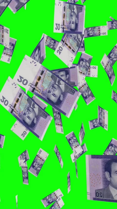 Vertical video of 20 MOROCCAN DIRHAM notes falling Green screen Stock Footage 302815829