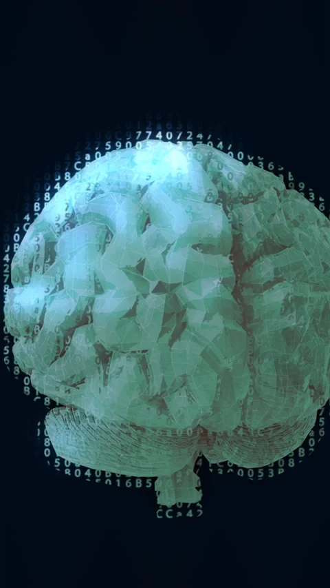 Vertical video 3D rotating brain model with binar cod. Stock Footage 339061290