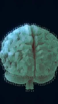 Vertical video 3D rotating brain model with binar cod. Motion graphic of di.. Stock Photos