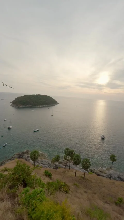 Vertical video 4k. Sunset exotic parrot flying over island sea beach lagoon bay Stockbeeldmateriaal 245177314