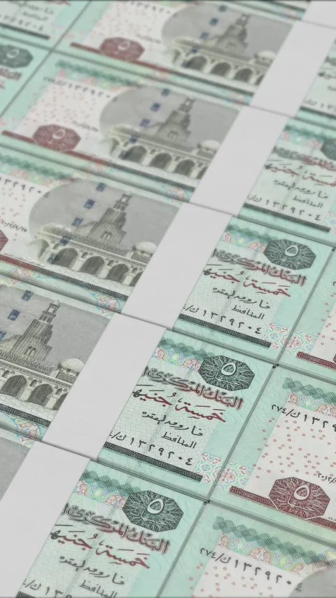 Vertical video of 5 EGYPTIAN POUND banknotes printed by a money press Stock Footage 303206926