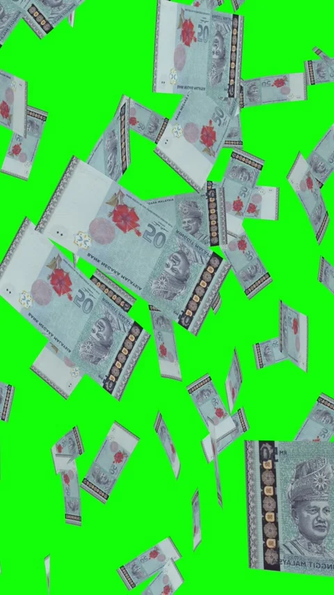 Vertical video of 50 MALAYSIAN RINGGIT notes falling Green screen Stock Footage 302816011