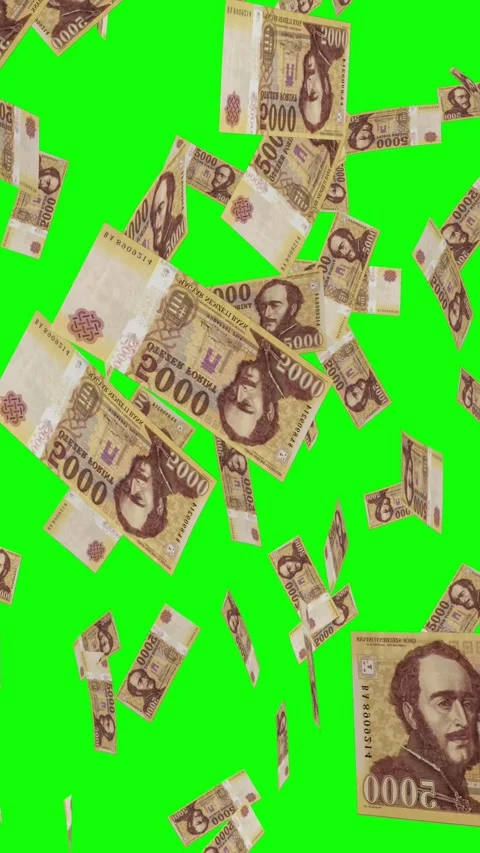 Vertical video of 5000 HUNGARIAN FORINT notes falling Green screen Stock Footage 302813255