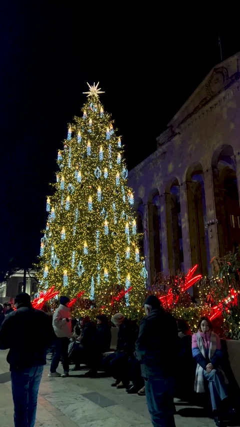 Vertical video. 60 fps. People near Christmas tree. Parliament building Stock Footage 296262474