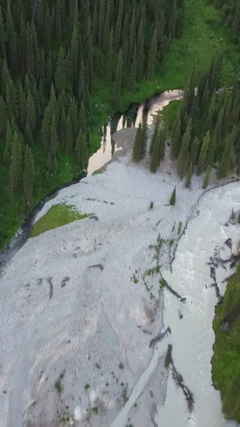 Vertical Video: Aerial Top Down View of Two Contrasting Rivers Meeting Stock Footage 331792793