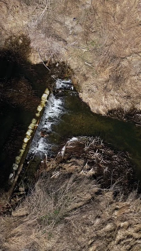 Vertical video. Aerial top down view of river flowing with beaver dam 스톡 동영상 331905340