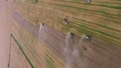 Vertical video. Aerial view. The combines harvesters harvests ripe wheat Video stock 278592803