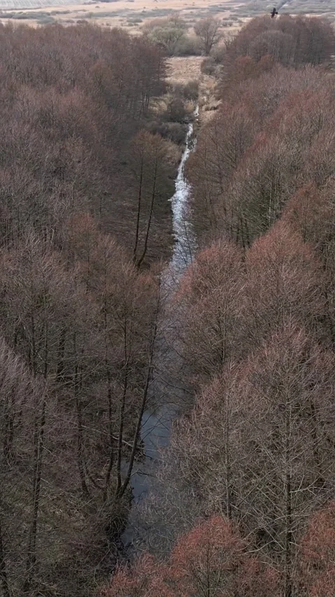 Vertical video. Aerial view flying over a river and bare forest in early spring 스톡 동영상 331905341