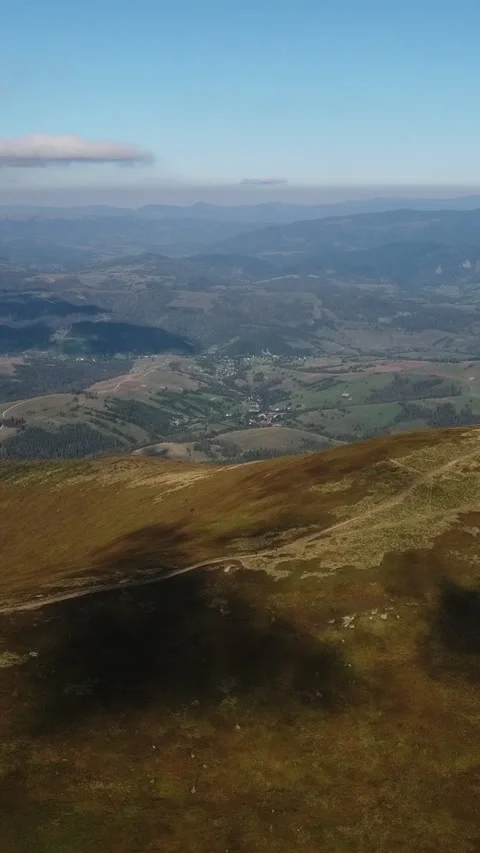 Vertical Video Aerial view forward over felled forest for construction or Stock Footage 303162537