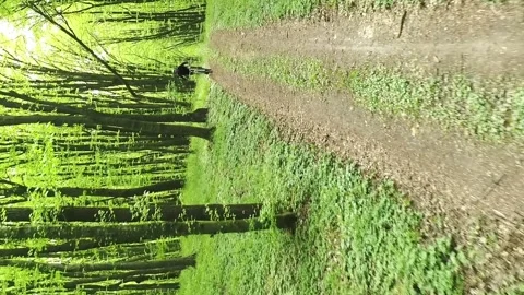 Vertical video. Aerial view. Riding an MTB bike through the spring forest. Video stock 263364591