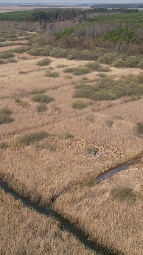Vertical video. Aerial view of river winding through a marshland Stock Footage 332047078