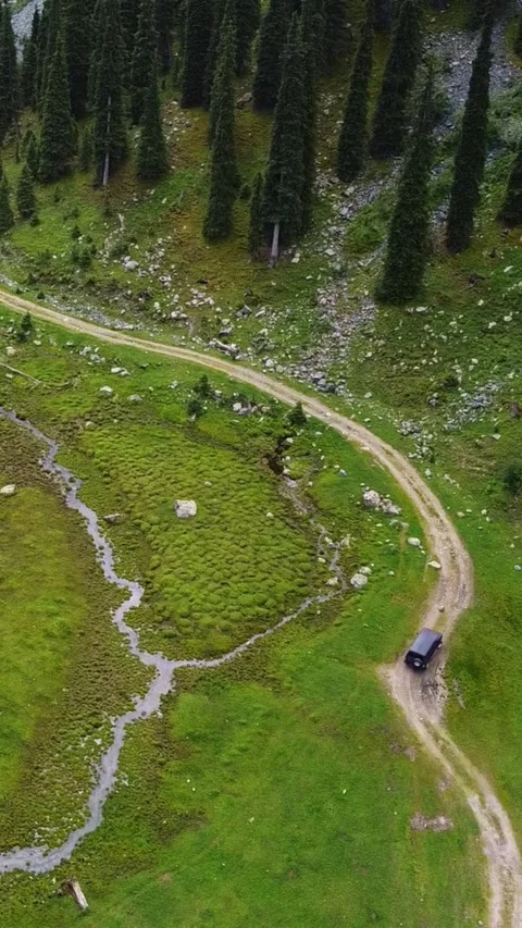 Vertical video: Aerial View of SUV on Winding Road in Forest &amp; Valley Stock Footage 331648228