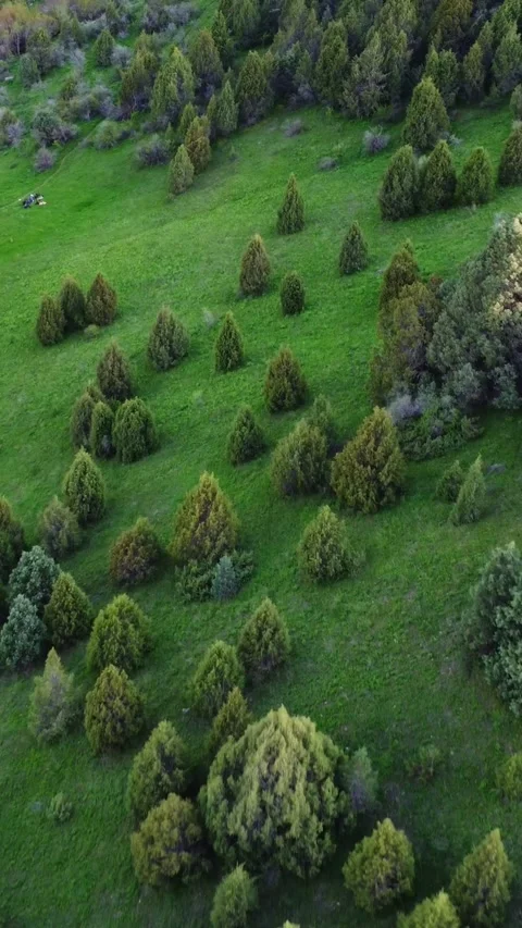 Vertical video: Aerial View of Tiny People Resting on Green Mountain Meadow Video stock 331790486