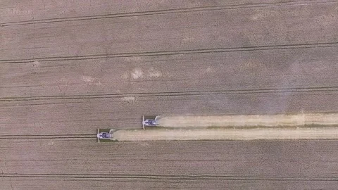 Vertical video. Aerial view of two combines harvesting mature wheat field on Video stock 279963742