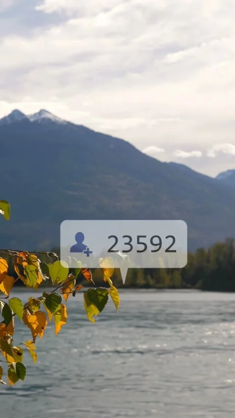 Vertical video: After brief hold, icons flowing in over lake, branch anchoring Stock Footage 334128040
