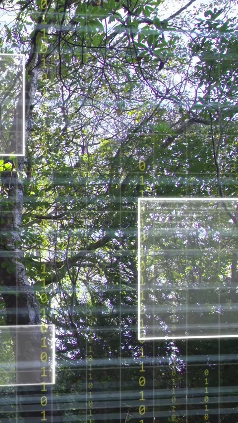 Vertical video: After pause UI panels stacking then clearing over birch canopy Stock Footage 333556724
