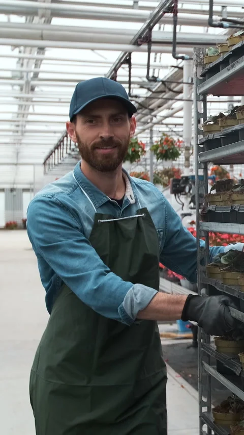 Vertical video Agricultural Engineer Explores Greenhouse with Young Plants. Stock Footage 340201483