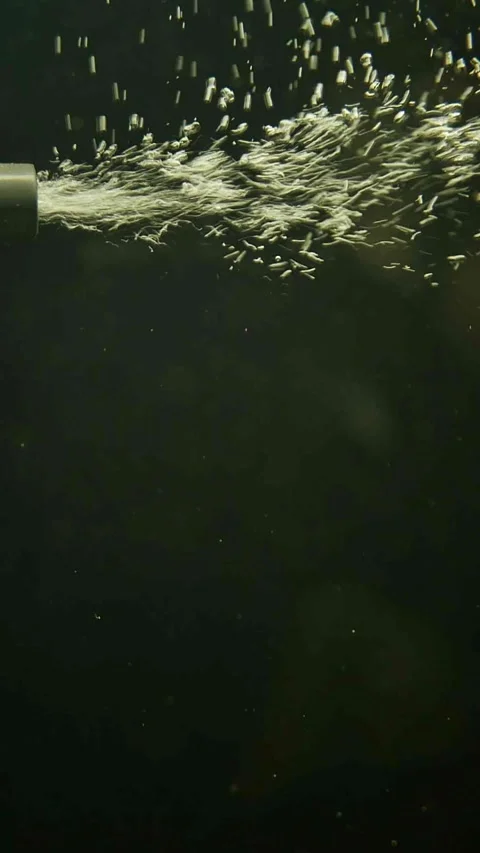 Vertical video of an air diffuser in an aquarium producing many oxygen bubbles a Stock Footage 235329418