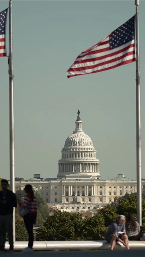 Vertical Video American Flags Wave Over Capitol Building, Washington DC Stock Footage 309531880