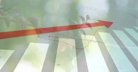 Vertical video: Animating chart on play, moving red trend line across bars and Stock Footage 331380026