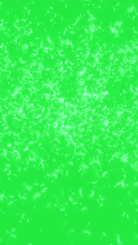 Vertical video animation - dandelion seed fly in space on green screen Stock Footage 228427627