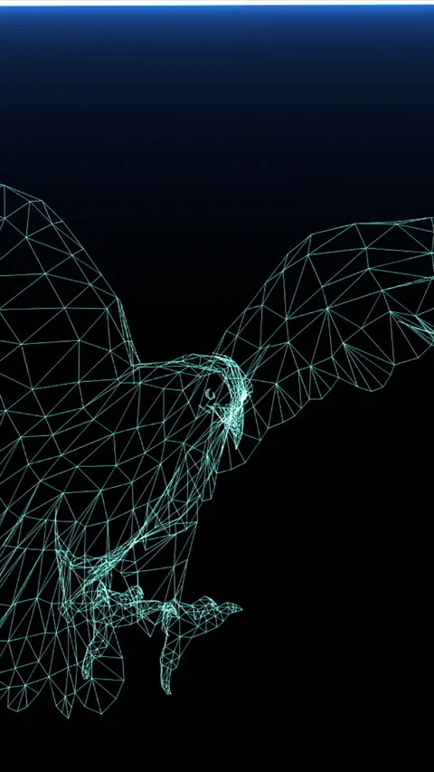 Vertical video animation of Isolated Low Poly graphic design of . Eagle -3d.. Video stock 228598269
