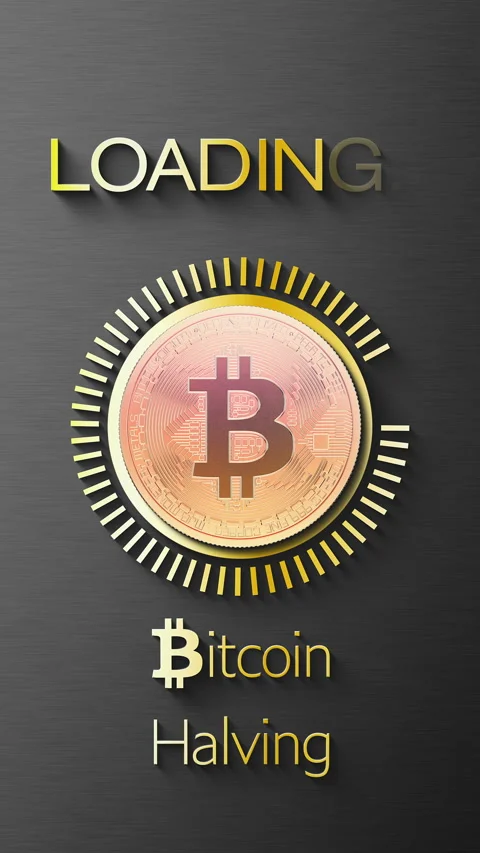 Vertical video animation of a loading bar for Bitcoin halving 2024. Stock Footage 269490987
