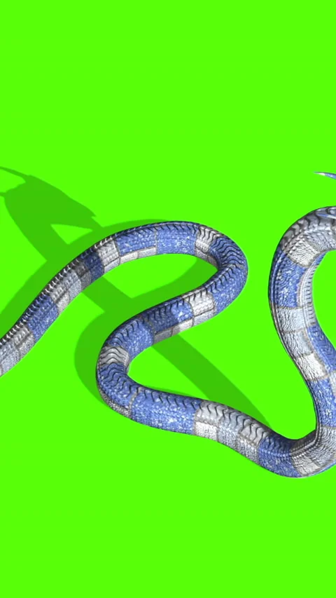 Snake Green Screen Footage Stock Videos – Royalty-Free HD & 4K Videos ...