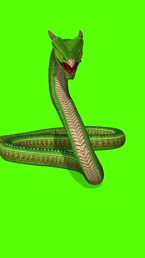 Snake Green Screen Footage Stock Videos – Royalty-Free HD & 4K Videos ...