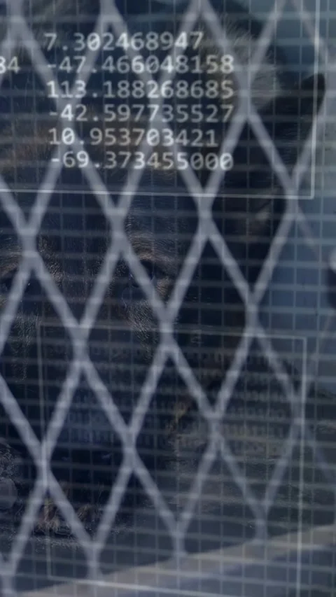Vertical video: Ape shifting behind mesh as PROCESSING overlay updating, HUD Stock Footage 333611023