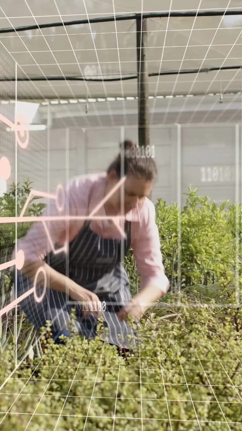 Vertical video: AR grid appearing, woman bending, inspecting and pruning shrubs, Stock Footage 332984830