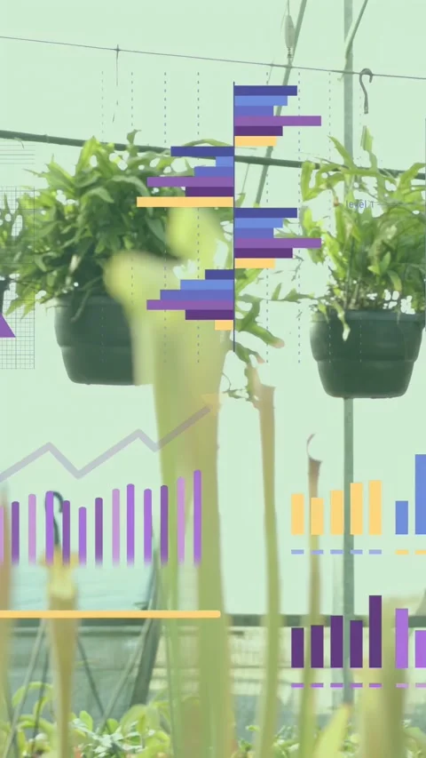 Vertical video: AR layer fading in, overlay building charts across pots tracking Stock Footage 333465400
