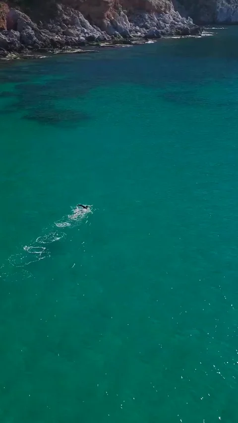 Vertical Video: Athlete Practicing Swimming in Crystal-Clear Waters of the Open Stock Footage 300331857