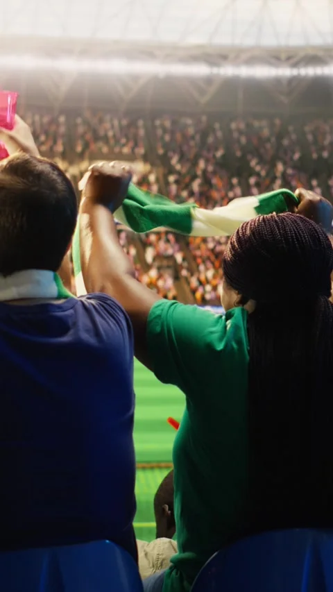Vertical video Back view of soccer crowd doing energetic chanting in stadium Stock Footage 341679180