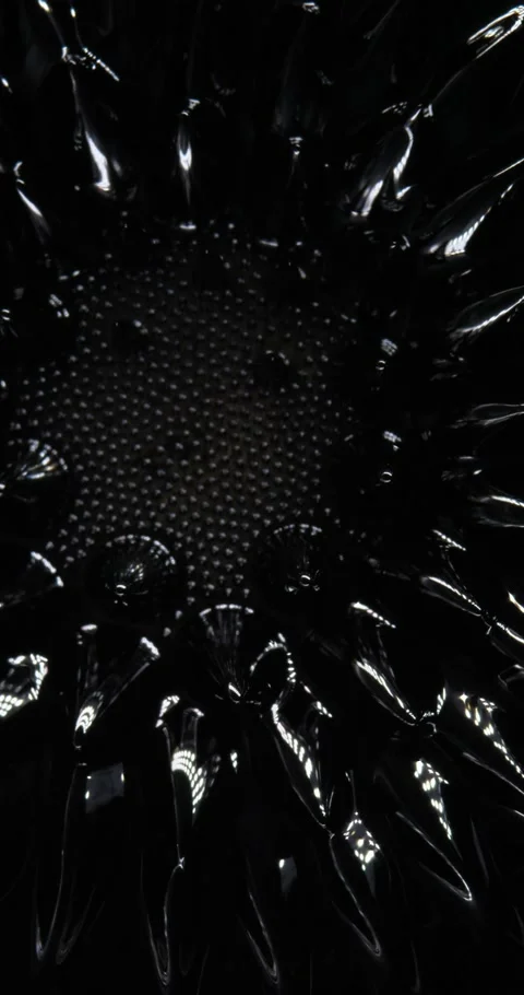 The Hypnotic Magnetism of Ferrofluids