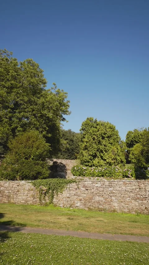 Vertical video background of a public park with Stone wall and lush vegetation Видео 287124312