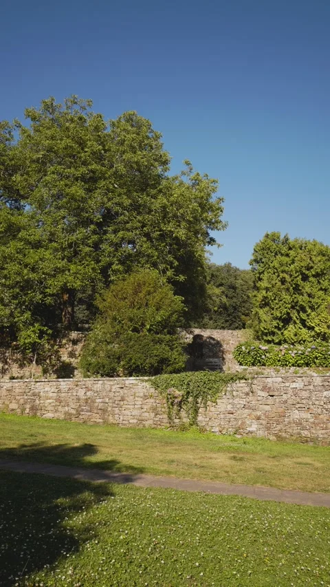 Vertical video background of a public park with Stone wall and lush trees Видео 287124330